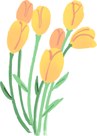 Painterly Turkiye Tulips